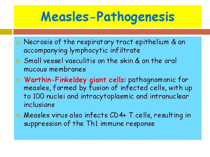 Measles-Pathogenesis Necrosis of the respiratory tract epithelium & an accompanying lymphocytic infiltrate Small vessel