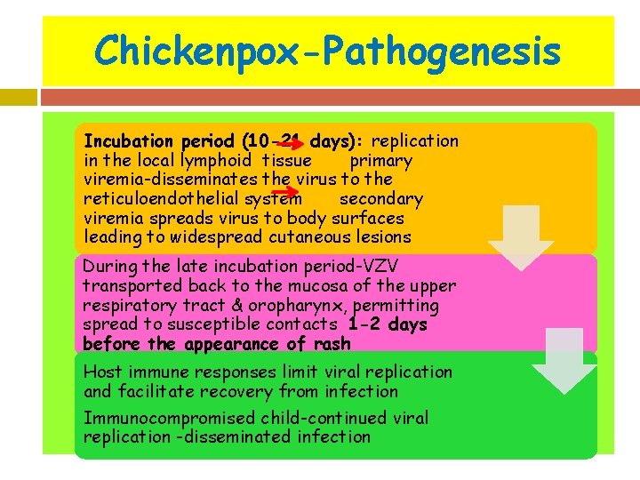 Chickenpox-Pathogenesis Incubation period (10 -21 days): replication in the local lymphoid tissue primary viremia-disseminates