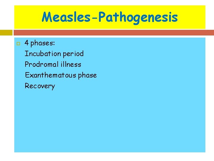 Measles-Pathogenesis 4 phases: Incubation period Prodromal illness Exanthematous phase Recovery 