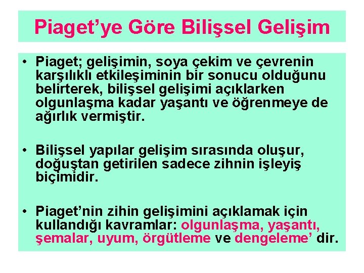 Piaget’ye Göre Bilişsel Gelişim • Piaget; gelişimin, soya çekim ve çevrenin karşılıklı etkileşiminin bir