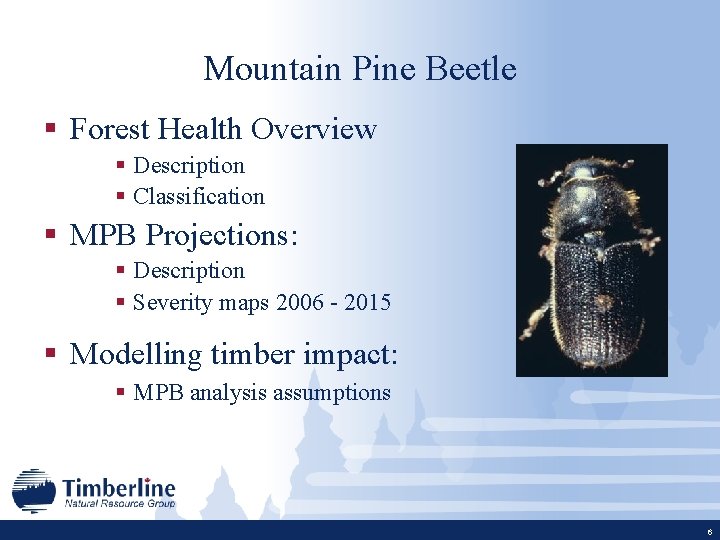 Mountain Pine Beetle § Forest Health Overview § Description § Classification § MPB Projections: