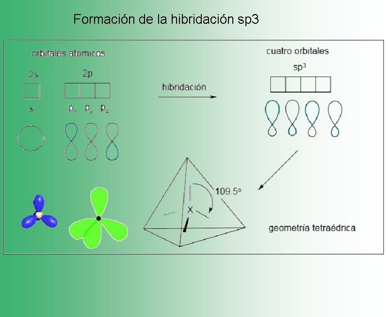 Formación de la hibridación sp 3 