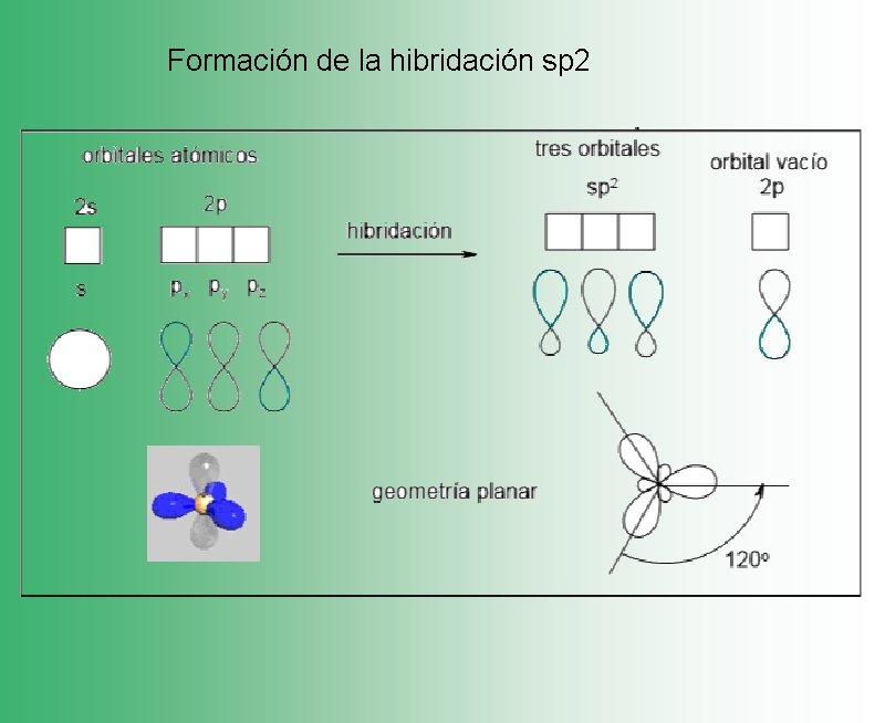 Formación de la hibridación sp 2 