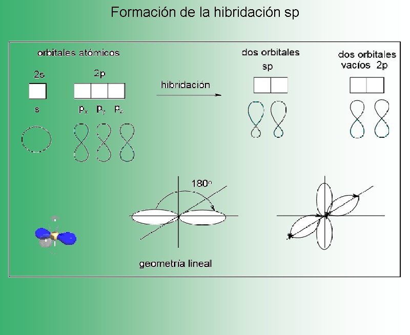 Formación de la hibridación sp 