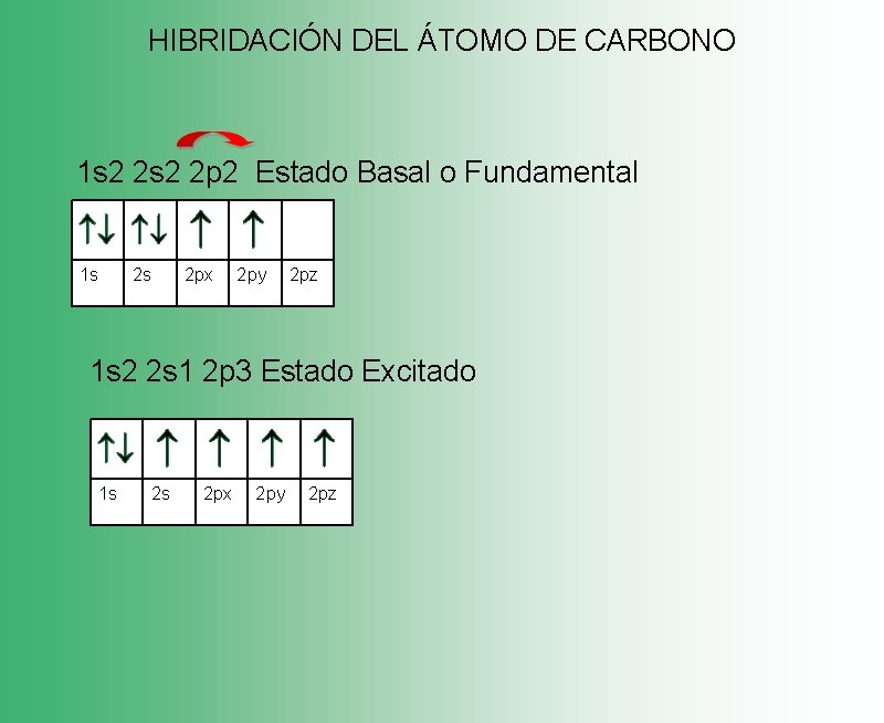 HIBRIDACIÓN DEL ÁTOMO DE CARBONO 1 s 2 2 p 2 Estado Basal o