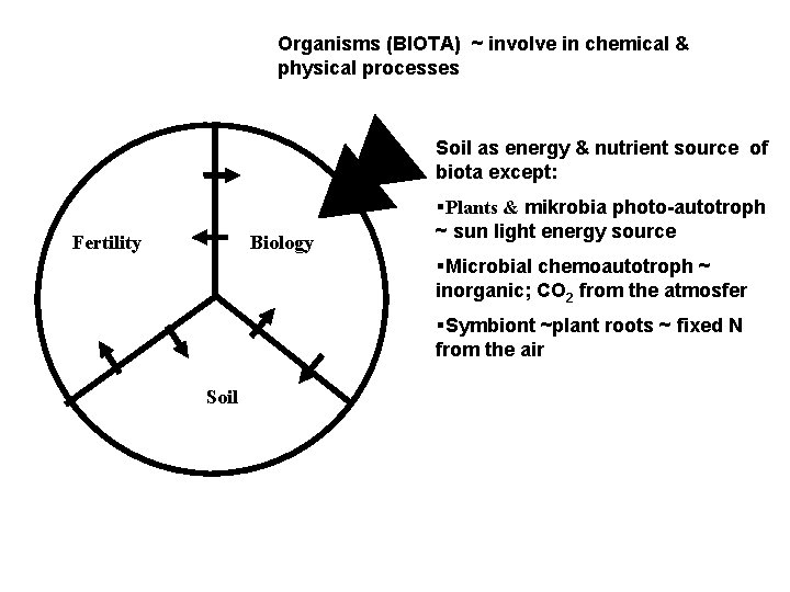 Organisms (BIOTA) ~ involve in chemical & physical processes Soil as energy & nutrient