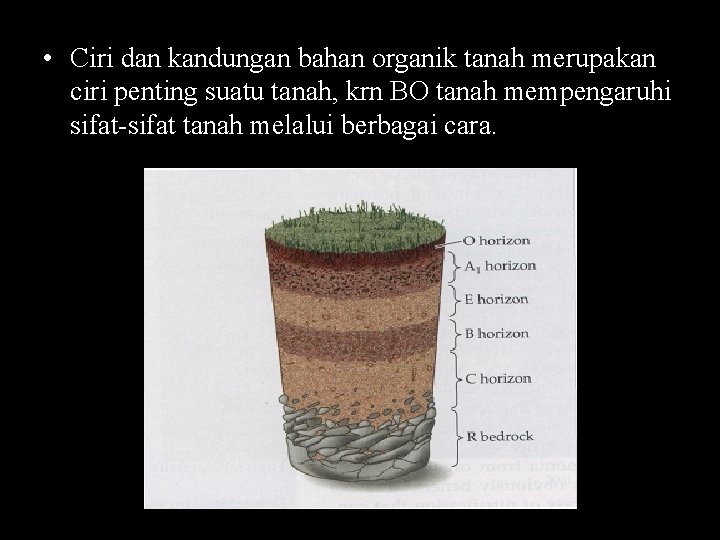  • Ciri dan kandungan bahan organik tanah merupakan ciri penting suatu tanah, krn