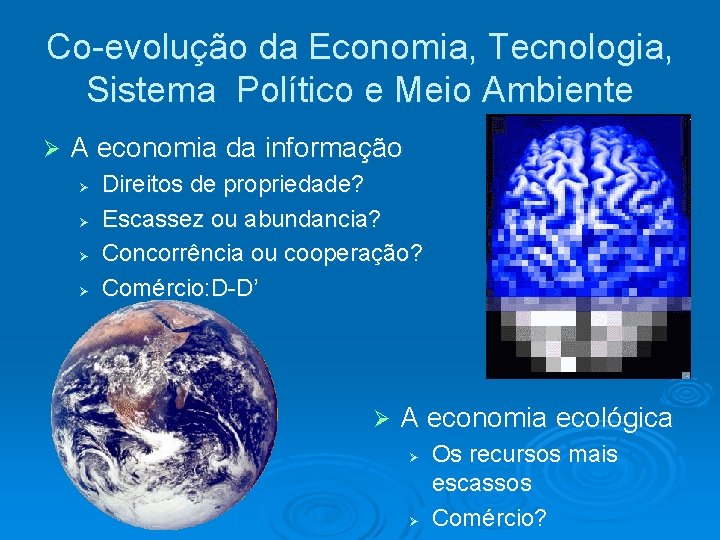 Co-evolução da Economia, Tecnologia, Sistema Político e Meio Ambiente A economia da informação Direitos