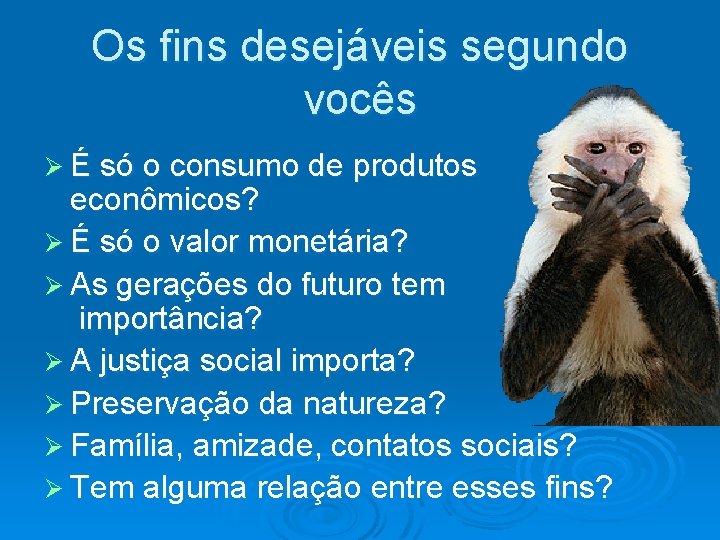 Os fins desejáveis segundo vocês É só o consumo de produtos econômicos? É só