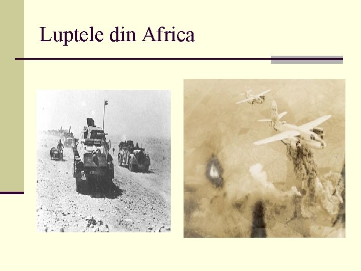 Luptele din Africa 