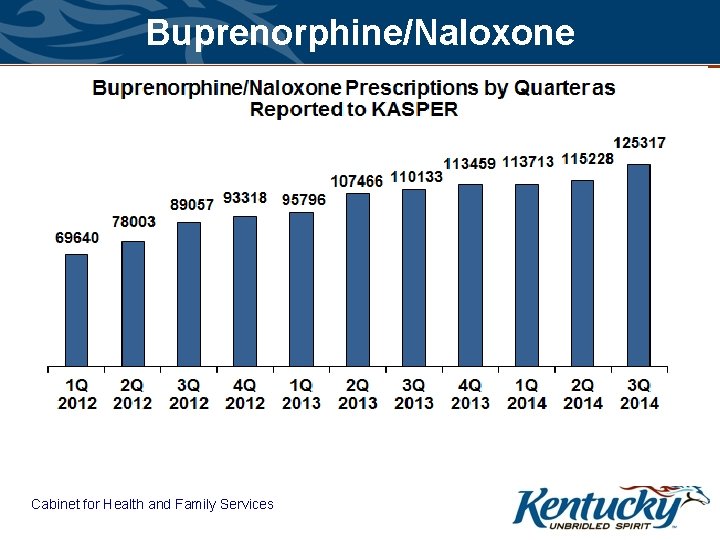Buprenorphine/Naloxone Cabinet for Health and Family Services 