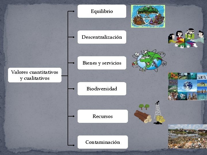 Equilibrio Descentralización Bienes y servicios Valores cuantitativos y cualitativos Biodiversidad Recursos Contaminación 