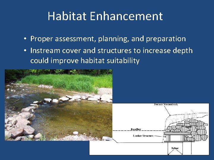 Habitat Enhancement • Proper assessment, planning, and preparation • Instream cover and structures to