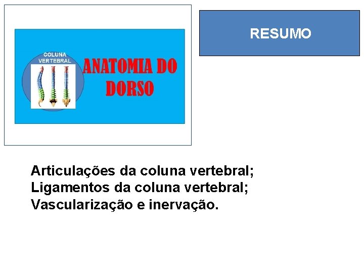 RESUMO Articulações da coluna vertebral; Ligamentos da coluna vertebral; Vascularização e inervação. 