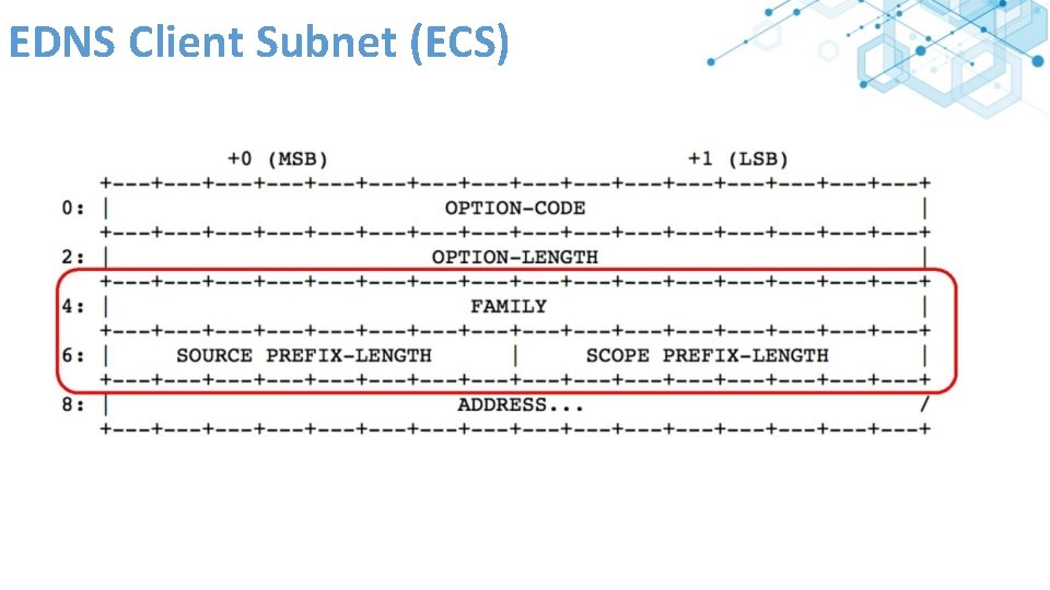EDNS Client Subnet (ECS) 