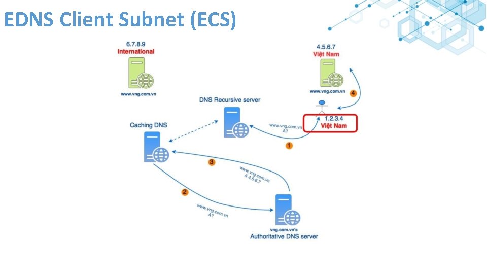 EDNS Client Subnet (ECS) 