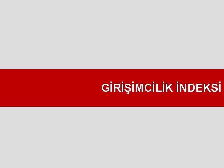 GİRİŞİMCİLİK İNDEKSİ 