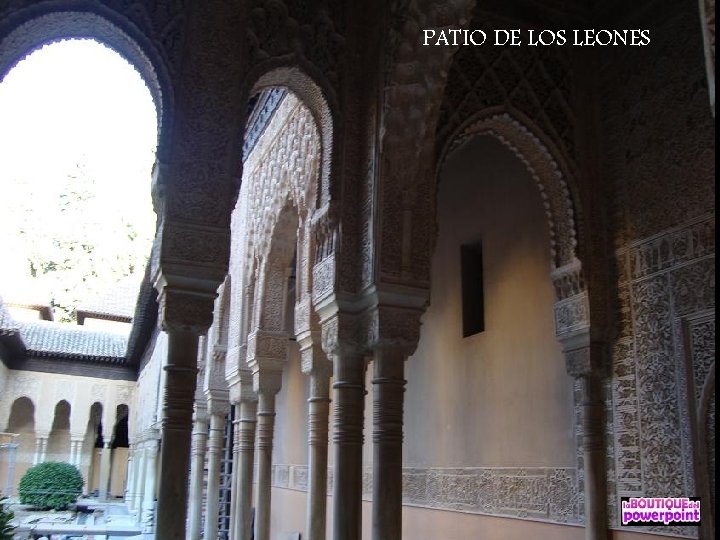 PATIO DE LOS LEONES 