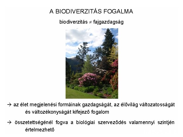 A BIODIVERZITÁS FOGALMA biodiverzitás fajgazdagság az élet megjelenési formáinak gazdagságát, az élővilág változatosságát és