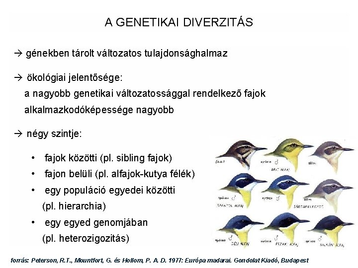 A GENETIKAI DIVERZITÁS génekben tárolt változatos tulajdonsághalmaz ökológiai jelentősége: a nagyobb genetikai változatossággal rendelkező