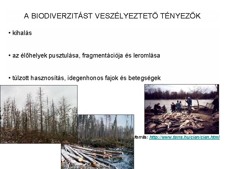 A BIODIVERZITÁST VESZÉLYEZTETŐ TÉNYEZŐK • kihalás • az élőhelyek pusztulása, fragmentációja és leromlása •