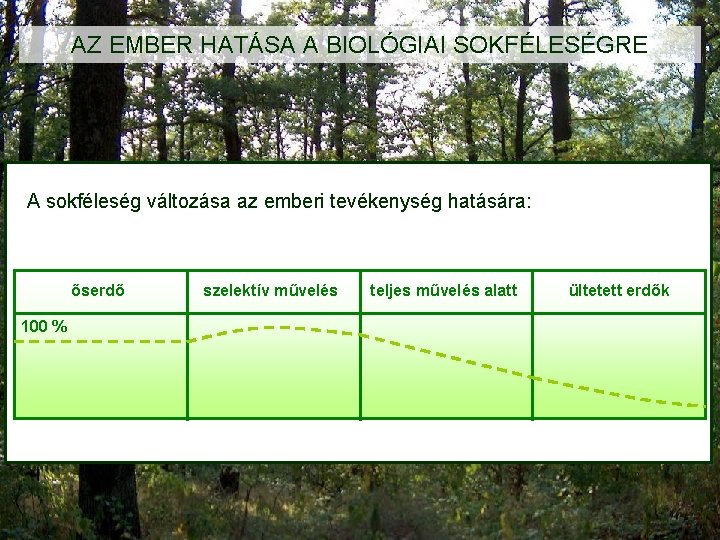 AZ EMBER HATÁSA A BIOLÓGIAI SOKFÉLESÉGRE A sokféleség változása az emberi tevékenység hatására: őserdő