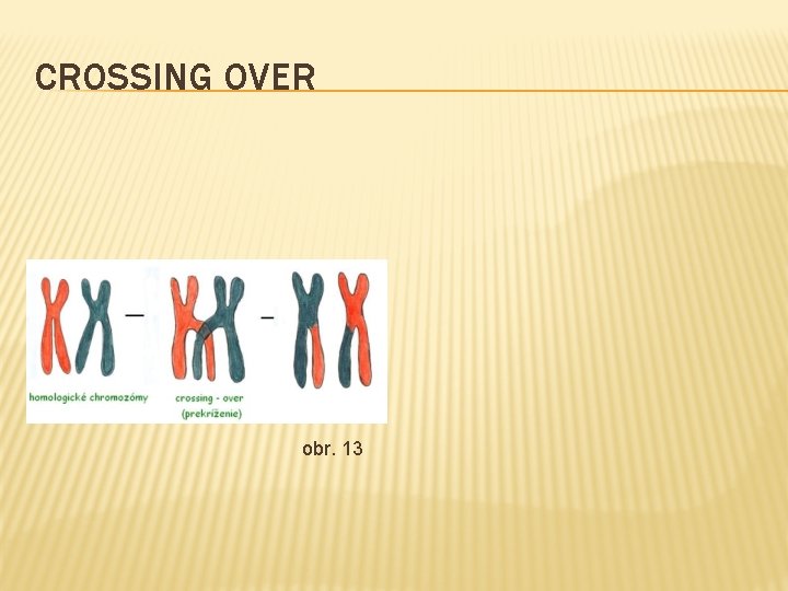 CROSSING OVER obr. 13 