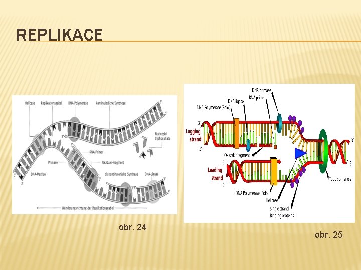 REPLIKACE obr. 24 obr. 25 