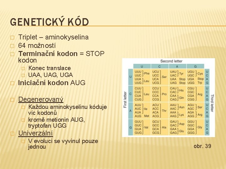 GENETICKÝ KÓD � � � Triplet – aminokyselina 64 možností Terminační kodon = STOP