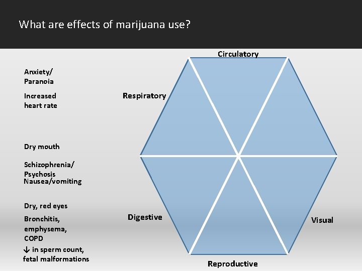 What are effects of marijuana use? Circulatory Anxiety/ Paranoia Increased heart rate Respiratory Dry