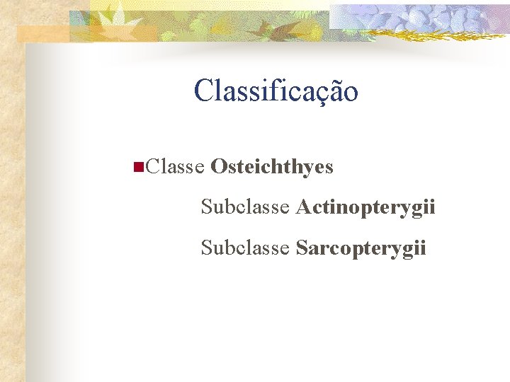 Classificação n. Classe Osteichthyes Subclasse Actinopterygii Subclasse Sarcopterygii 