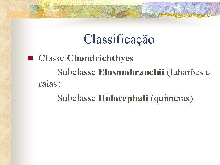 Classificação n Classe Chondrichthyes Subclasse Elasmobranchii (tubarões e raias) Subclasse Holocephali (quimeras) 