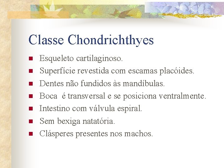 Classe Chondrichthyes n n n n Esqueleto cartilaginoso. Superfície revestida com escamas placóides. Dentes