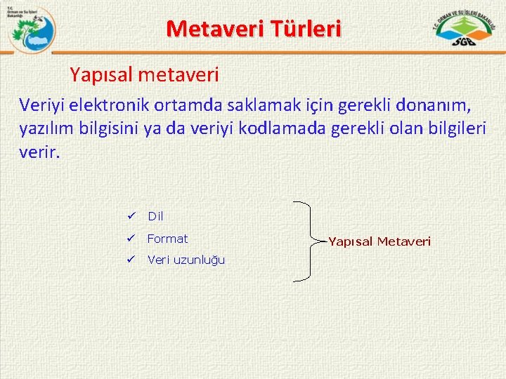 Metaveri Türleri Yapısal metaveri Veriyi elektronik ortamda saklamak için gerekli donanım, yazılım bilgisini ya