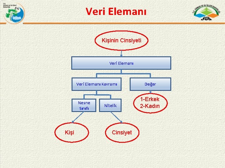 Veri Elemanı Kişinin Cinsiyeti Veri Elemanı Kavramı Nesne Sınıfı Kişi Nitelik Cinsiyet Değer 1