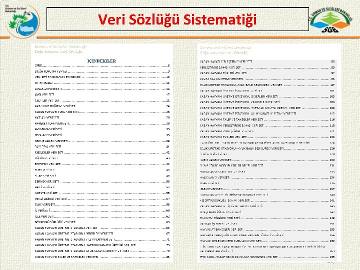 Veri Sözlüğü Sistematiği 28/x 