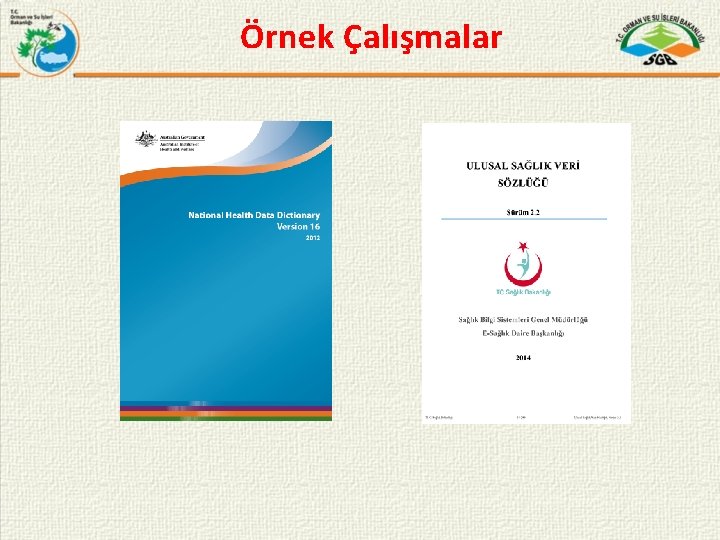 Örnek Çalışmalar 