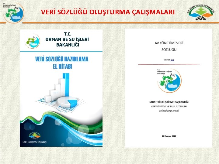 VERİ SÖZLÜĞÜ OLUŞTURMA ÇALIŞMALARI 