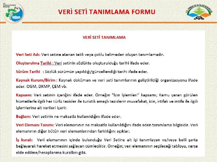 VERİ SETİ TANIMLAMA FORMU 