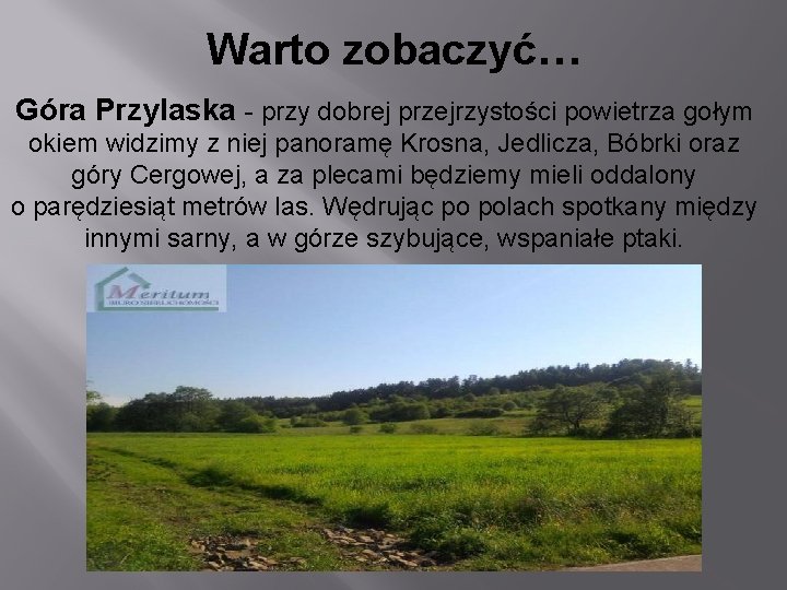 Warto zobaczyć… Góra Przylaska - przy dobrej przejrzystości powietrza gołym okiem widzimy z niej