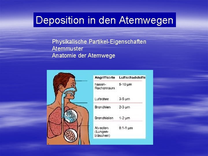 Deposition in den Atemwegen Physikalische Partikel-Eigenschaften Atemmuster Anatomie der Atemwege 