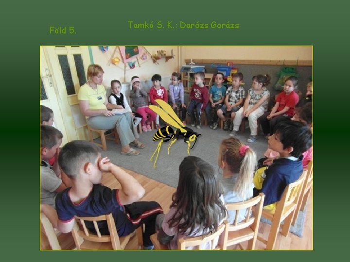 Föld 5. Tamkó S. K. : Darázs Garázs 