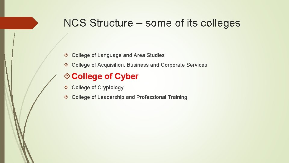 NCS Structure – some of its colleges College of Language and Area Studies College