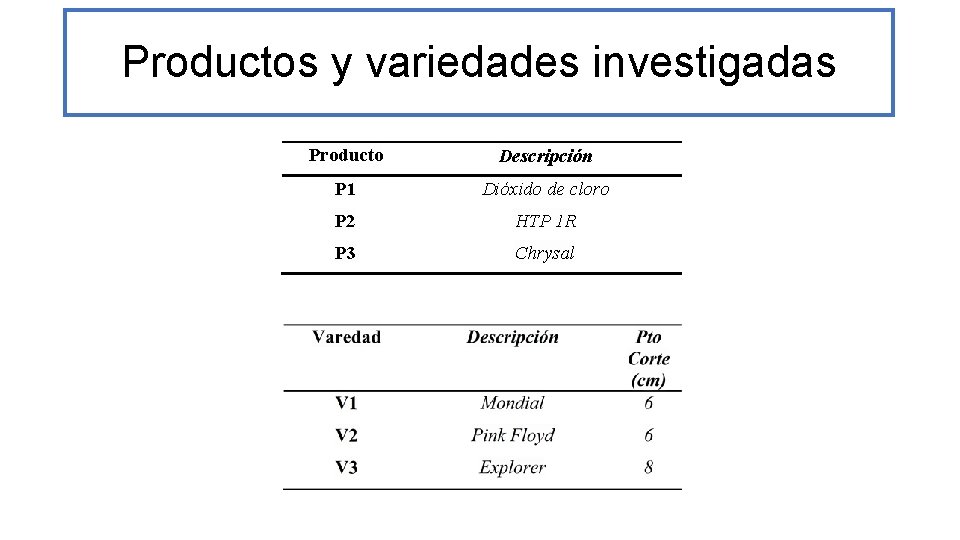 Productos y variedades investigadas Producto Descripción P 1 Dióxido de cloro P 2 HTP