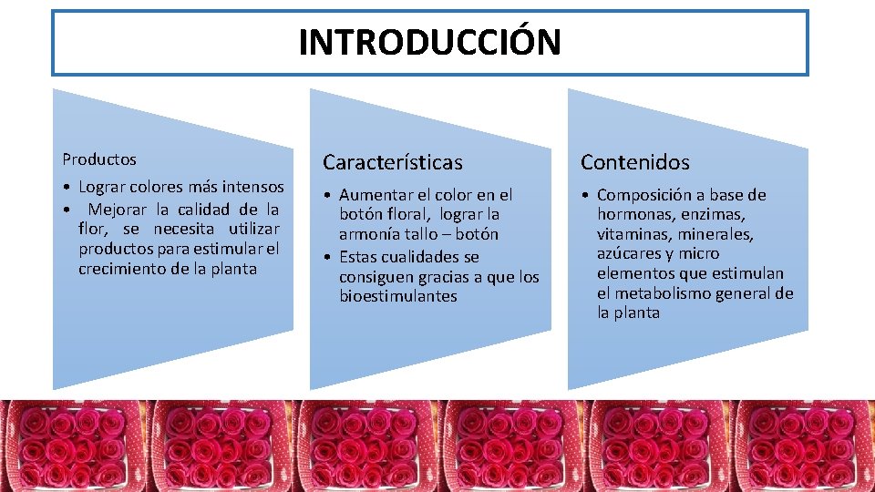 INTRODUCCIÓN Productos • Lograr colores más intensos • Mejorar la calidad de la flor,