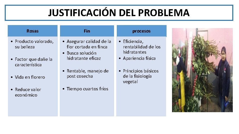 JUSTIFICACIÓN DEL PROBLEMA Rosas Fin • Producto valorado, su belleza • Asegurar calidad de