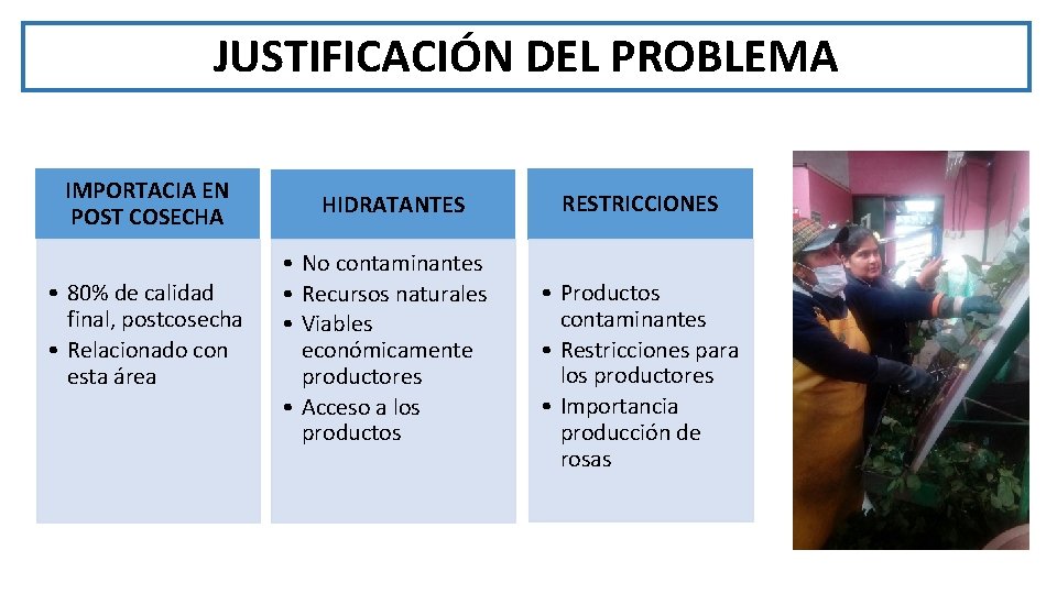 JUSTIFICACIÓN DEL PROBLEMA IMPORTACIA EN POST COSECHA • 80% de calidad final, postcosecha •