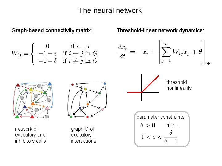 The neural network Graph-based connectivity matrix: Threshold-linear network dynamics: threshold nonlinearity parameter constraints: network
