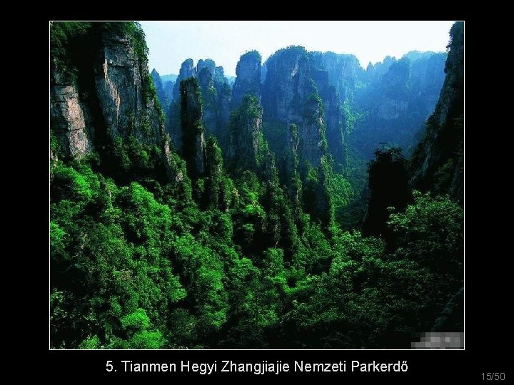 5. Tianmen Hegyi Zhangjiajie Nemzeti Parkerdő 15/50 