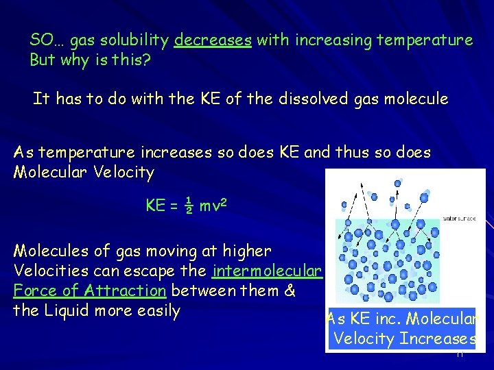 SO… gas solubility decreases with increasing temperature But why is this? It has to